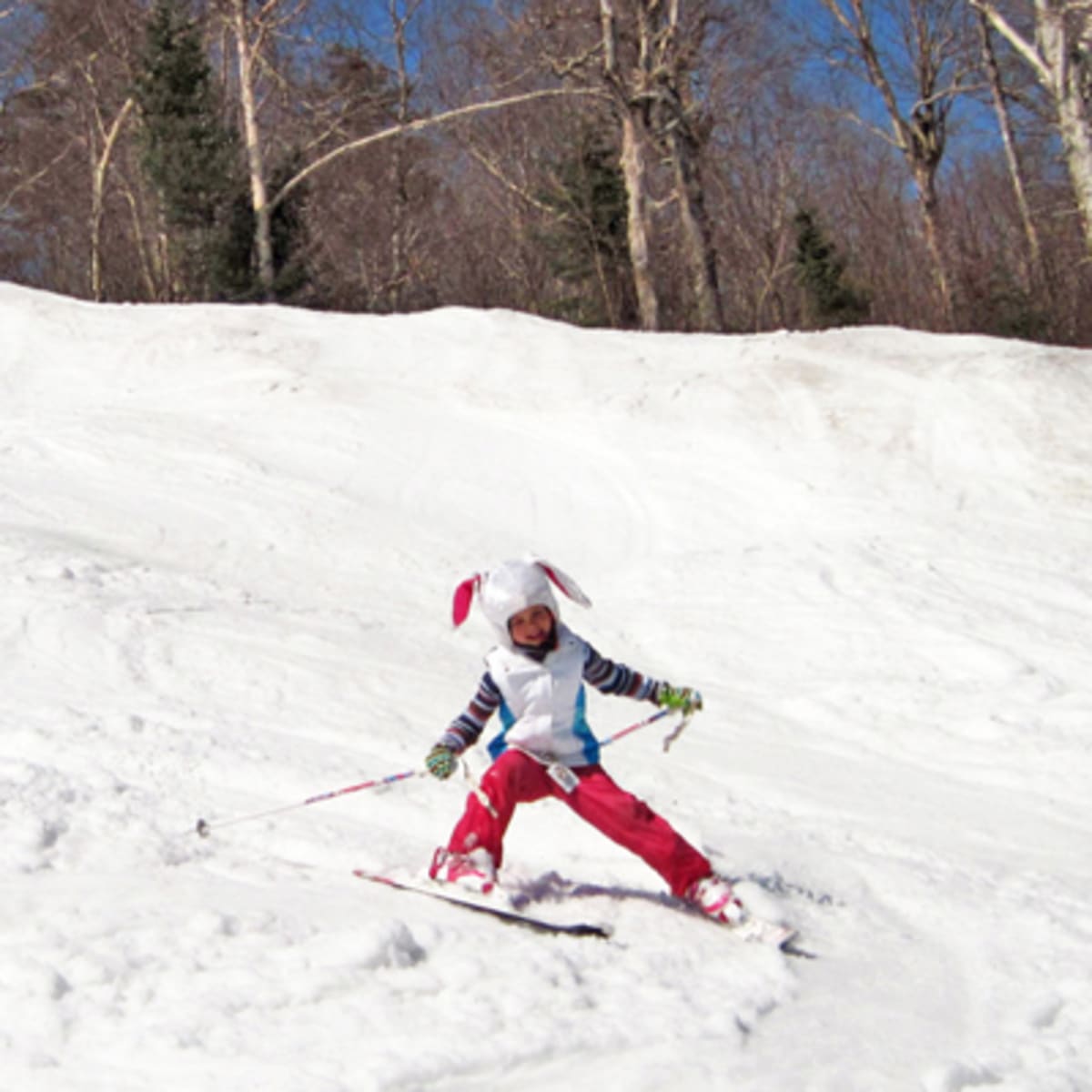 mont_sutton_4_h