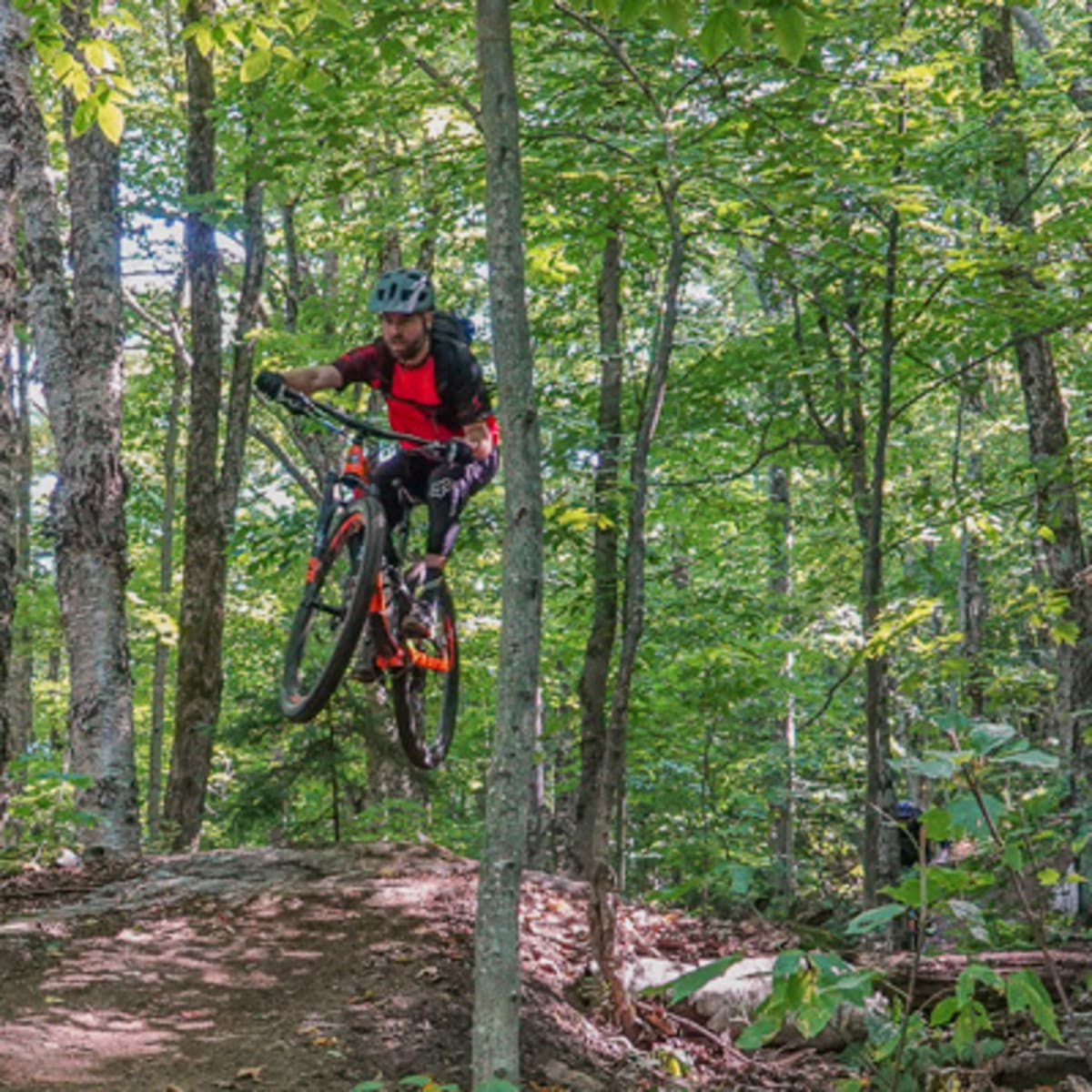 mont_sutton_7