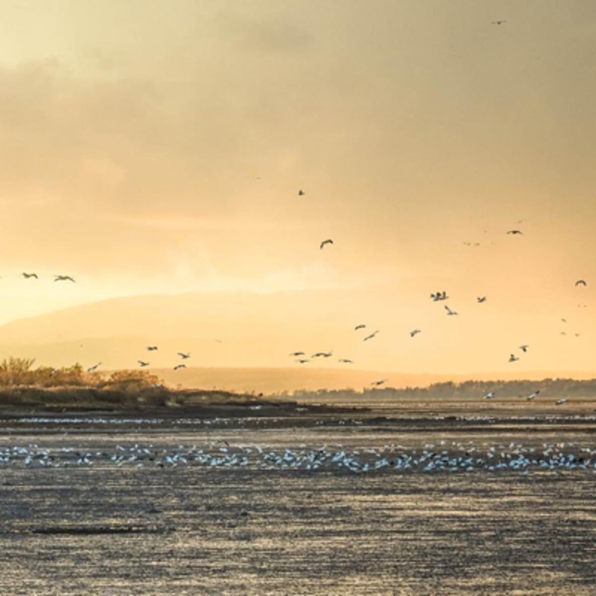 montmagny_et_les_iles_1