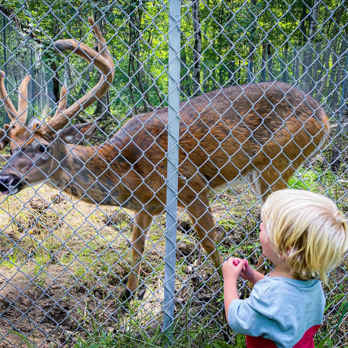 musee_de_la_biodiversite_du_quebec_2