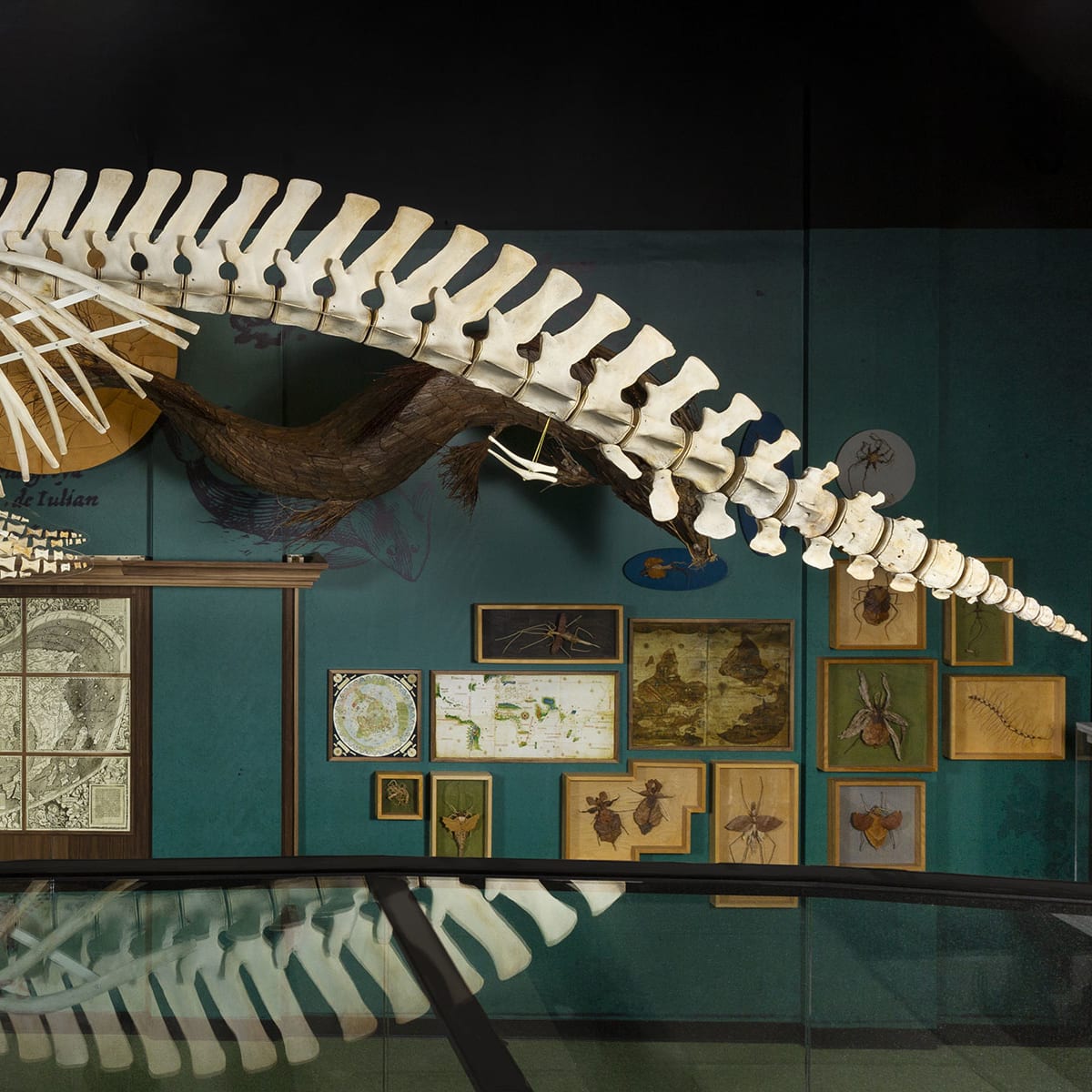 musee_de_la_civilisation_9