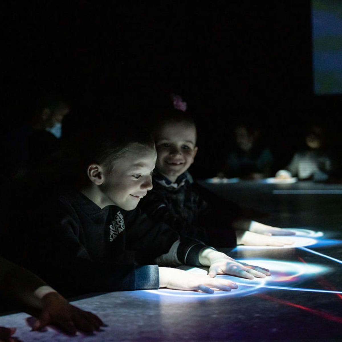 musee_de_la_nature_et_des_sciences_de_sherbrooke_5