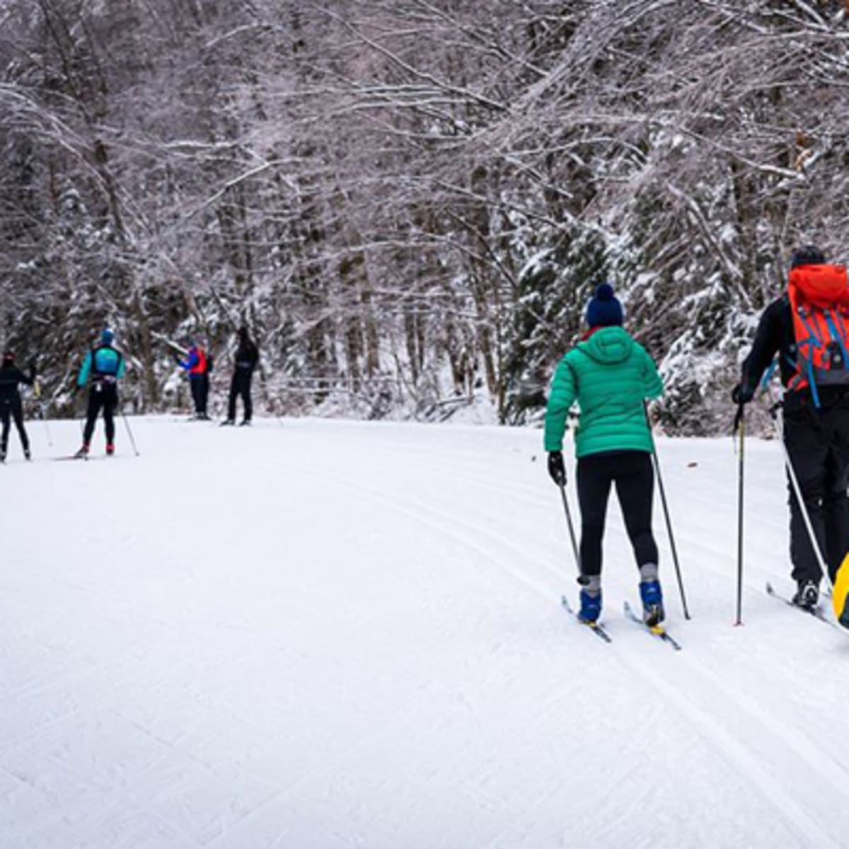 parc_de_la_gatineau_4_h
