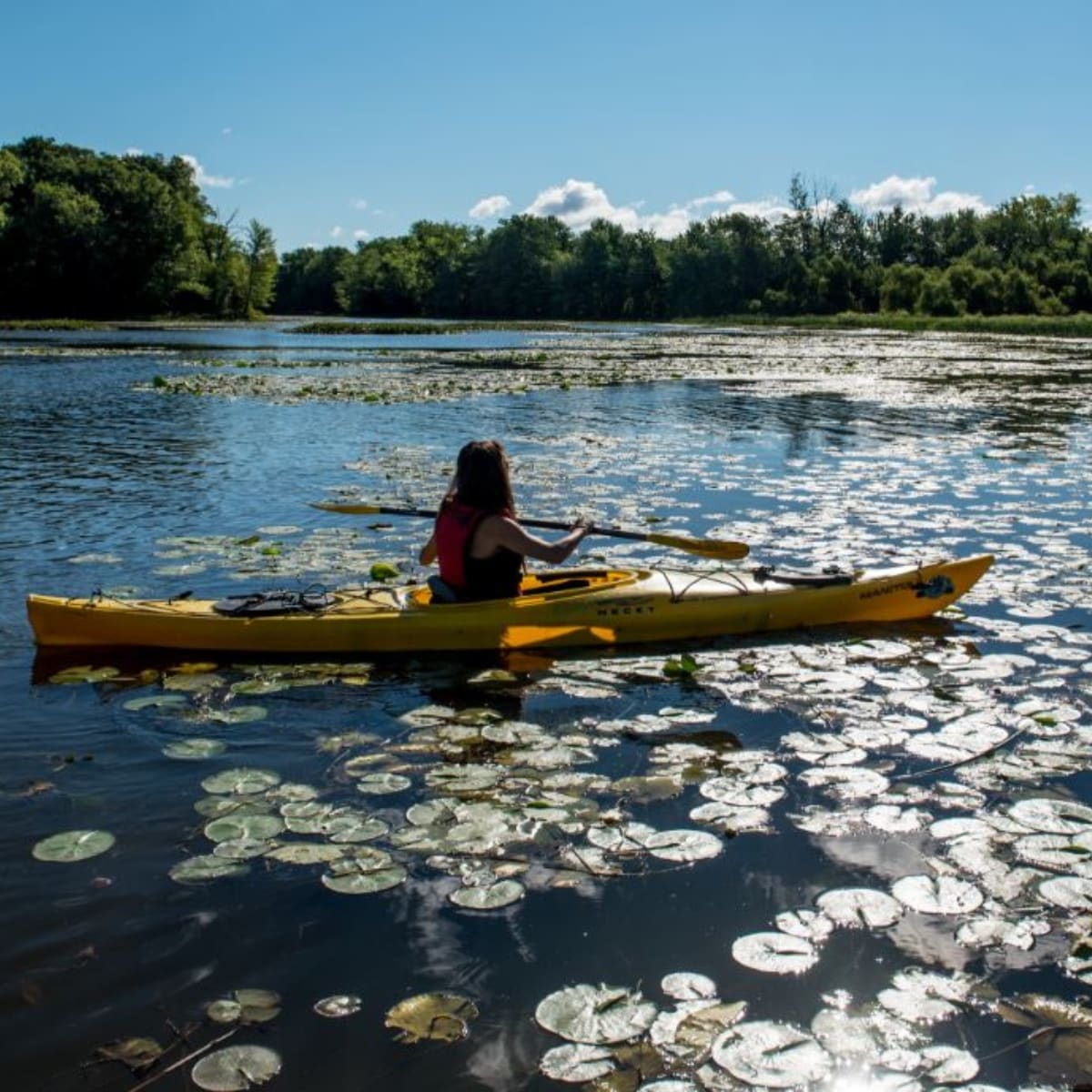 parc_de_la_riviere_des_mille_iles_1