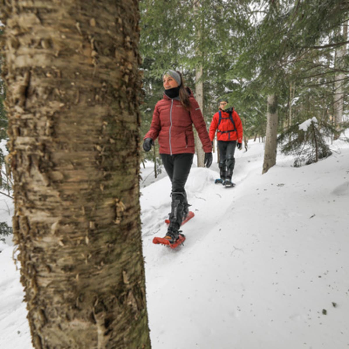 parc_du_mont_bellevue_1_h