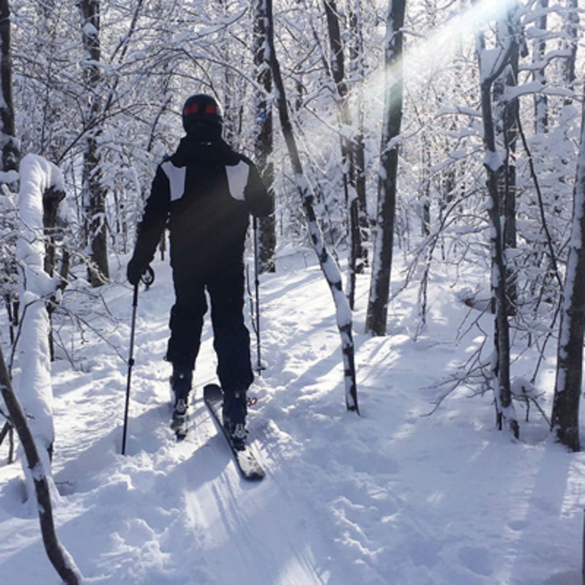 parc_du_mont_hatley_1_h