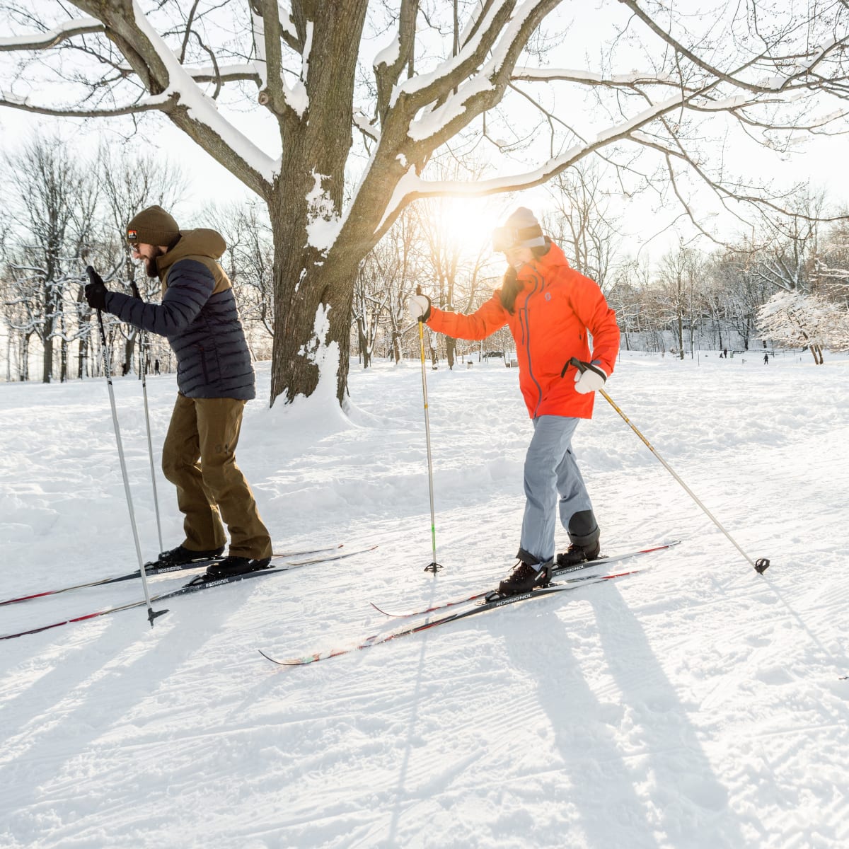 parc_du_mont_royal_1_h