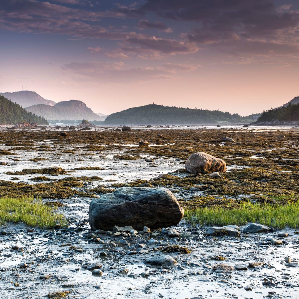 parc_national_du_bic_1