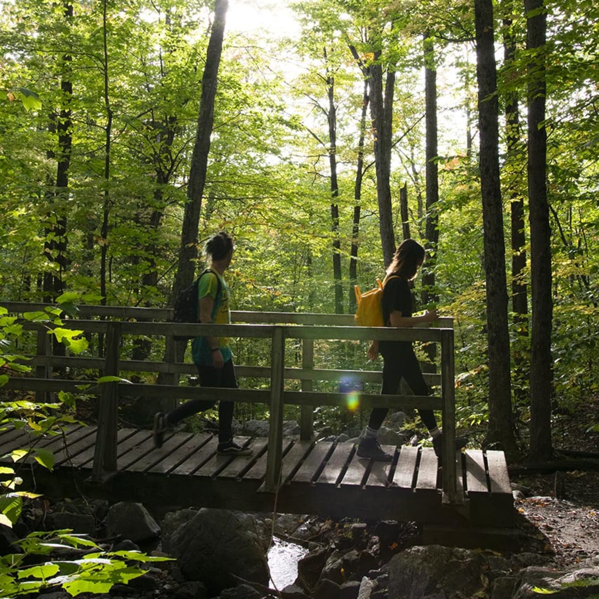 parc_national_du_mont_orford_1