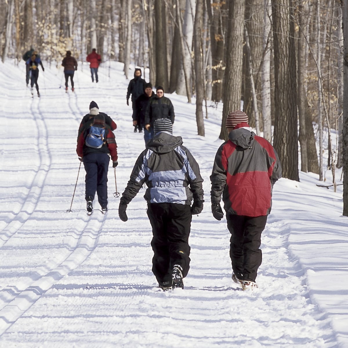 parc_national_du_mont_saint_bruno_1_h