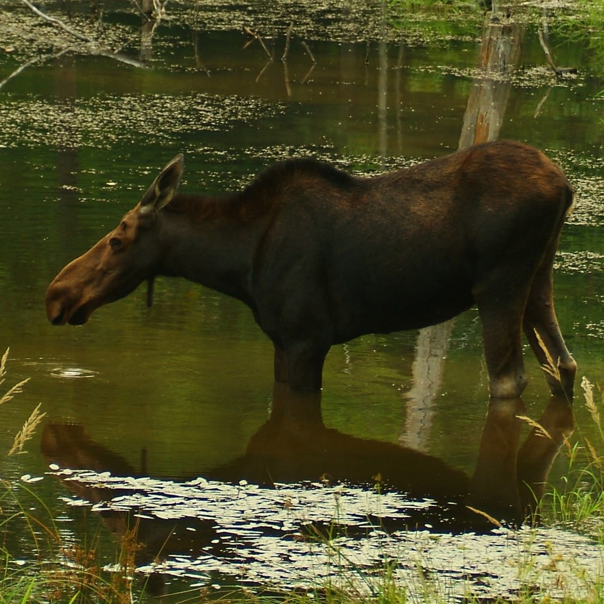 parc_omega_10