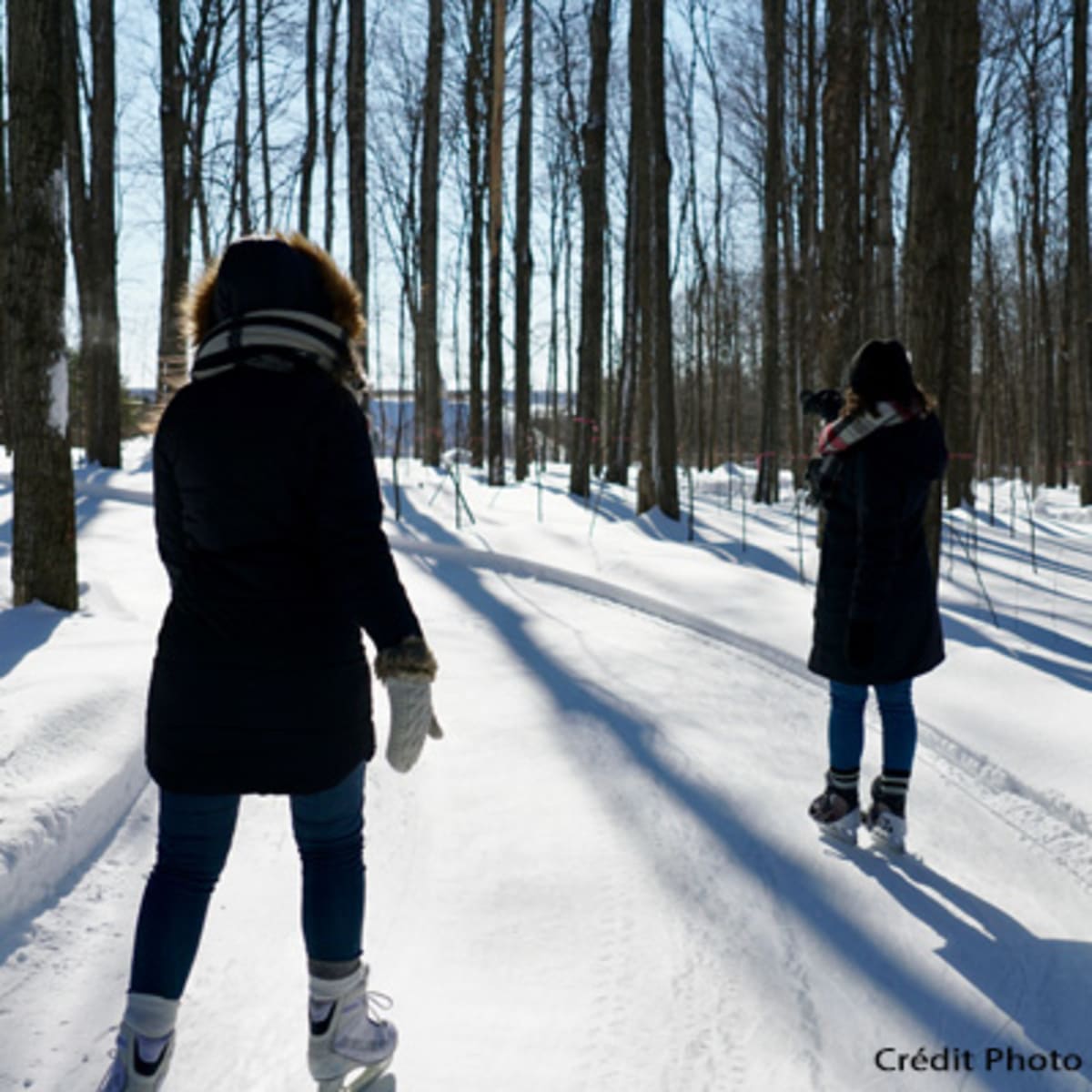 parc_regional_educatif_bois_de_belle_riviere_4_h