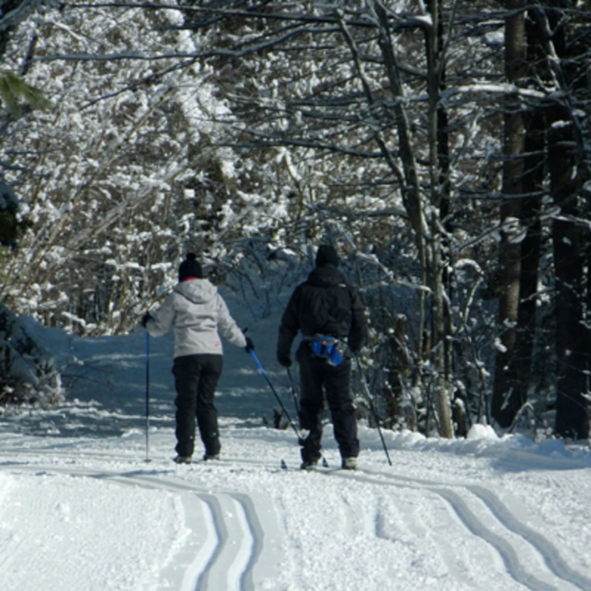 parcours_dhebertisme_aerien_du_parc_du_domaine_vert_2_h