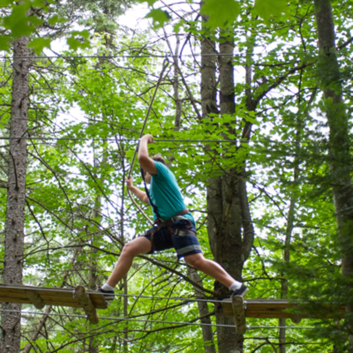 parcours_dhebertisme_aerien_du_parc_du_domaine_vert_4