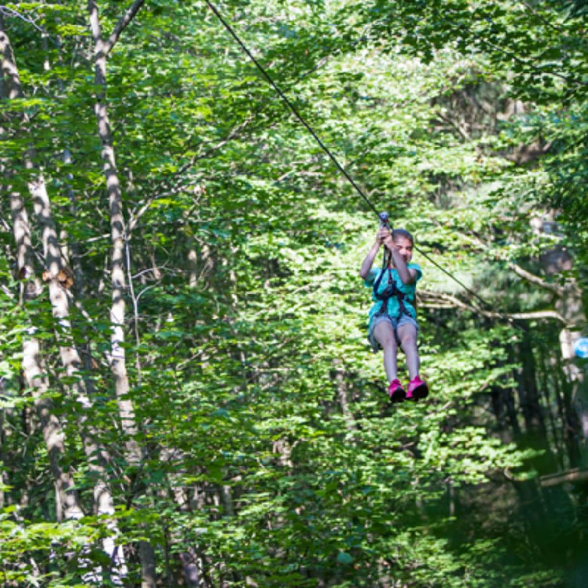parcours_dhebertisme_aerien_du_parc_du_domaine_vert_9