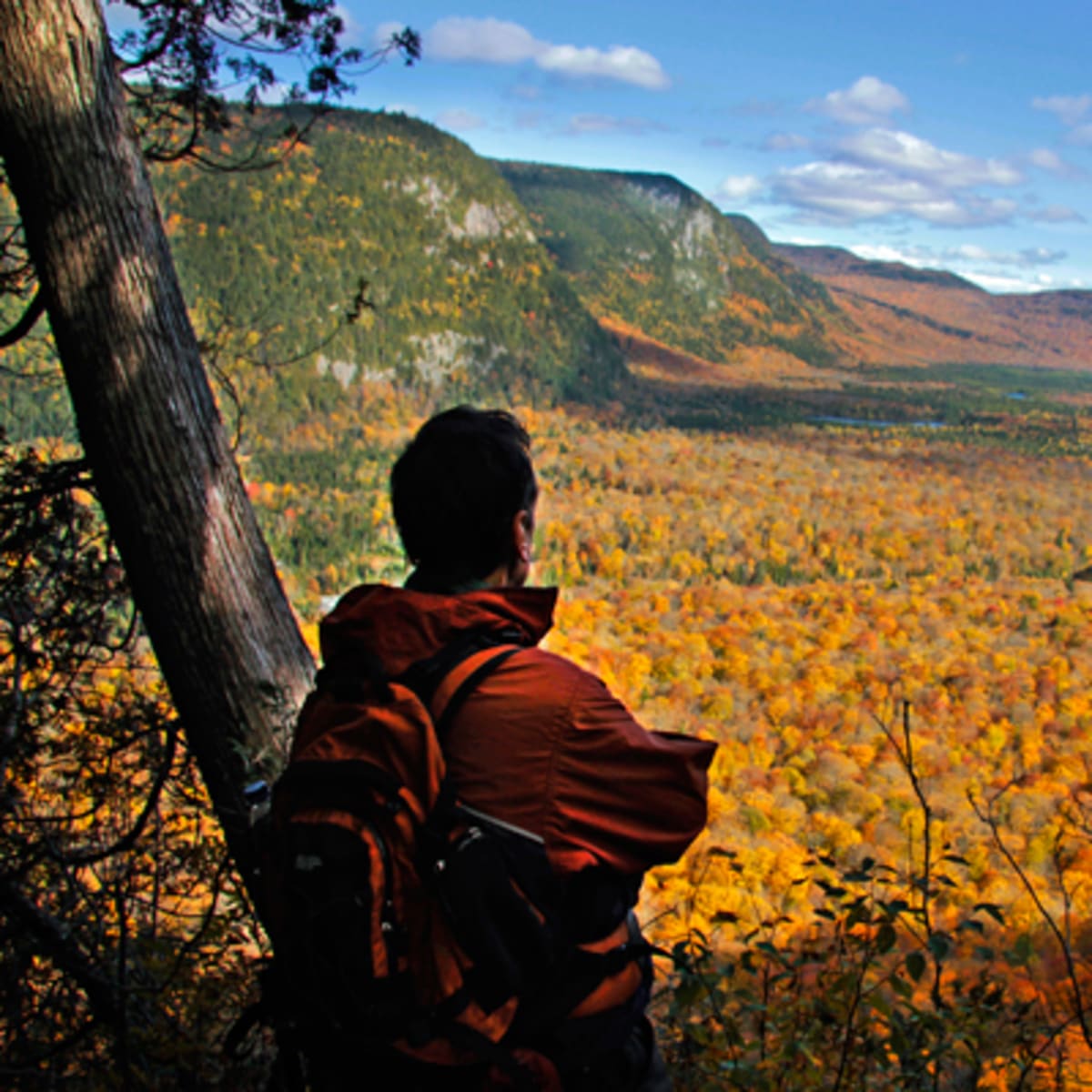 parcs_regionaux_du_quebec_2_a