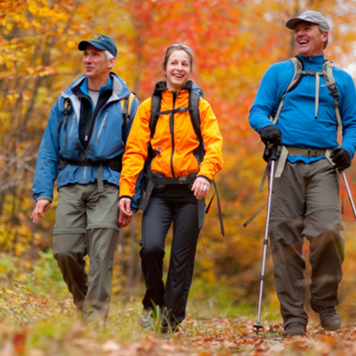 parcs_regionaux_du_quebec_3_a