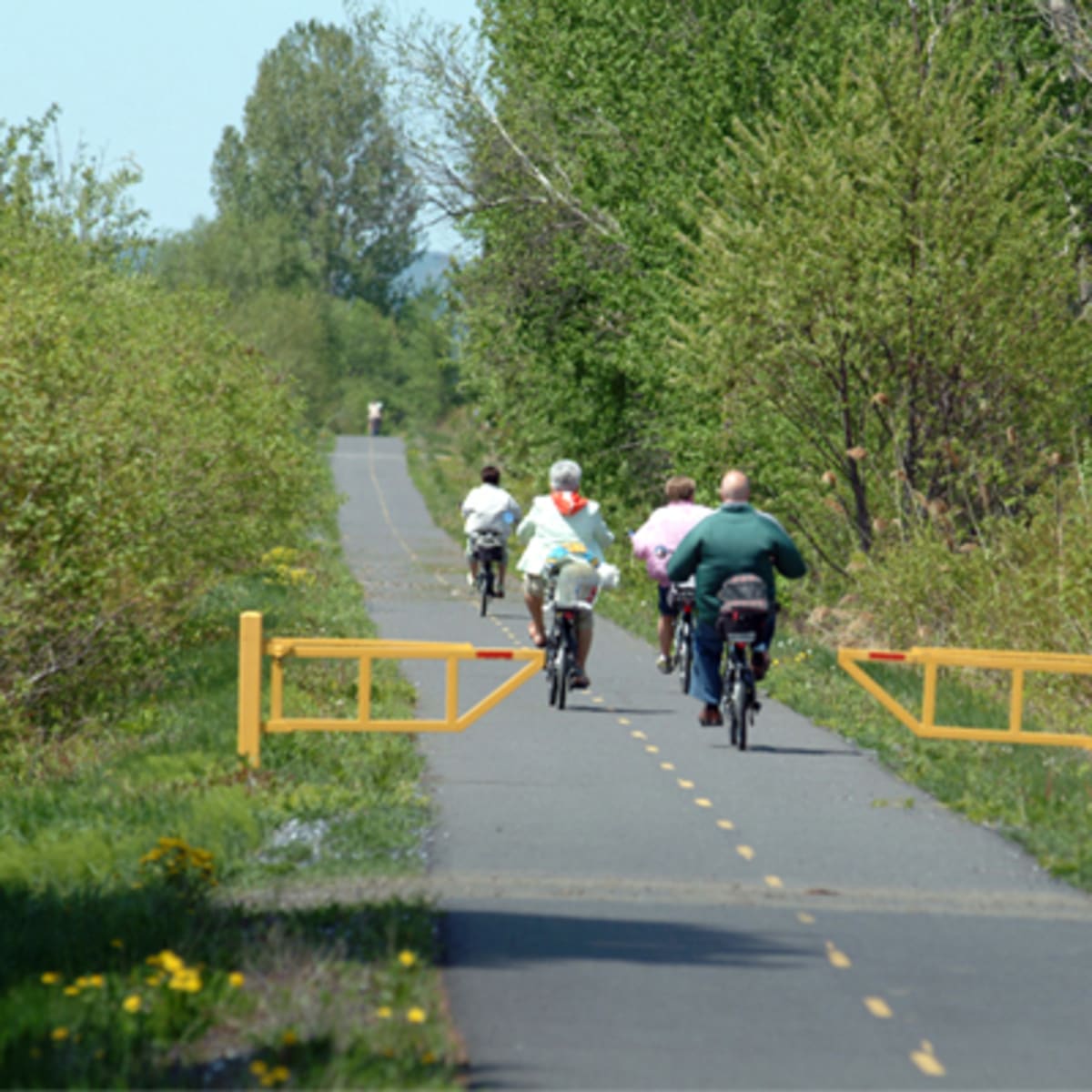 piste_cyclable__la_route_des_champs_10