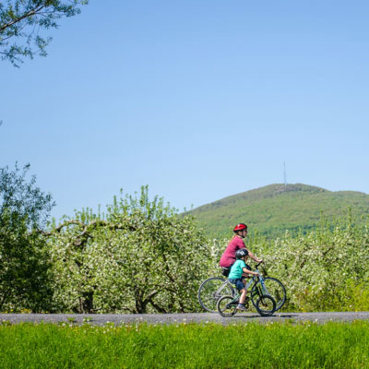 piste_cyclable__la_route_des_champs_16