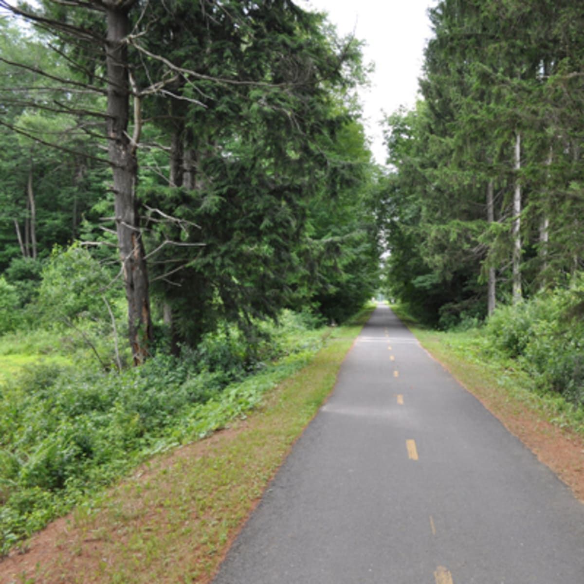 piste_cyclable__la_route_des_champs_18