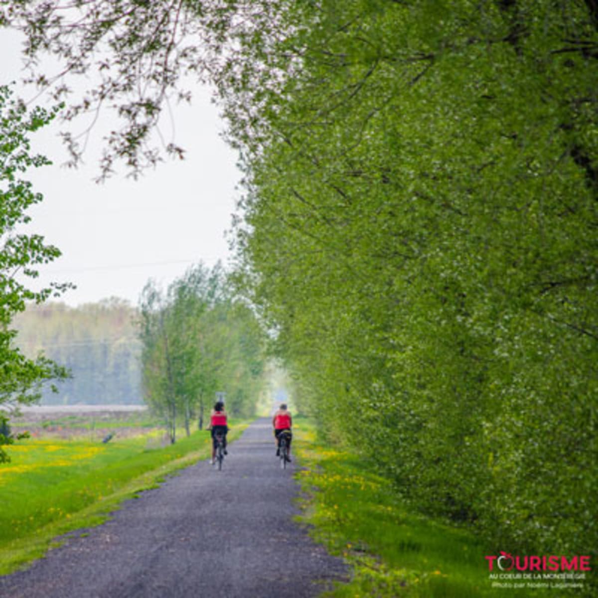 piste_cyclable__la_route_des_champs_4