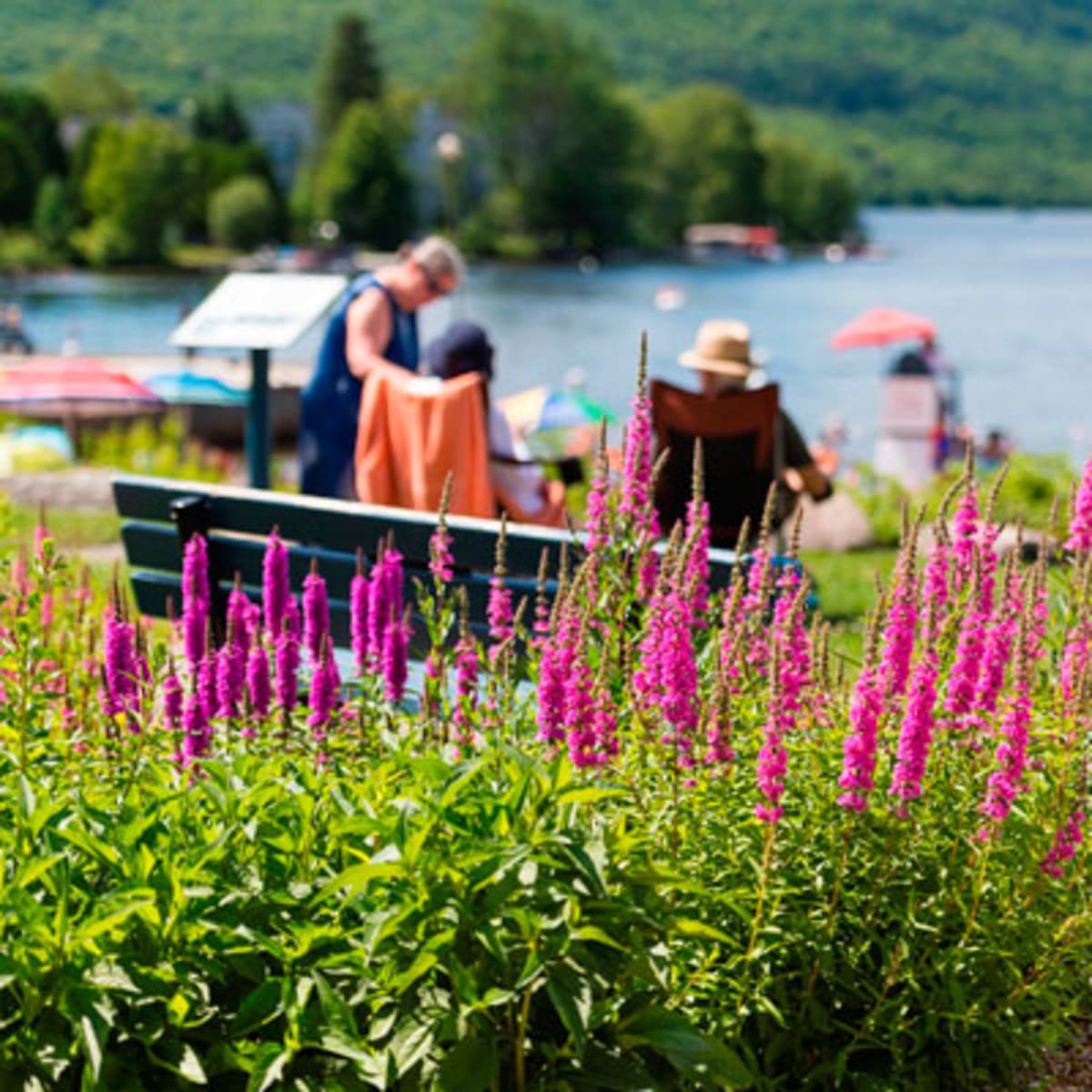 plage_municipale_de_saint_donat_parc_des_pionniers_3