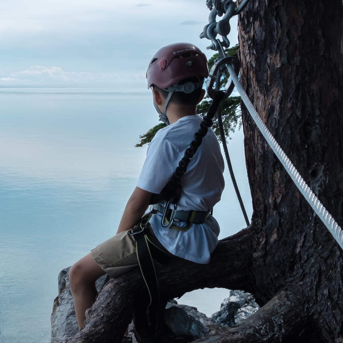projet_vertical___via_ferrata_au_fairmont_le_manoir_richelieu_5