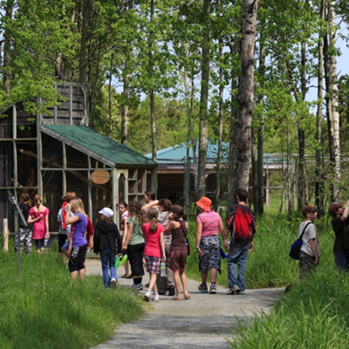 refuge_pageau_11