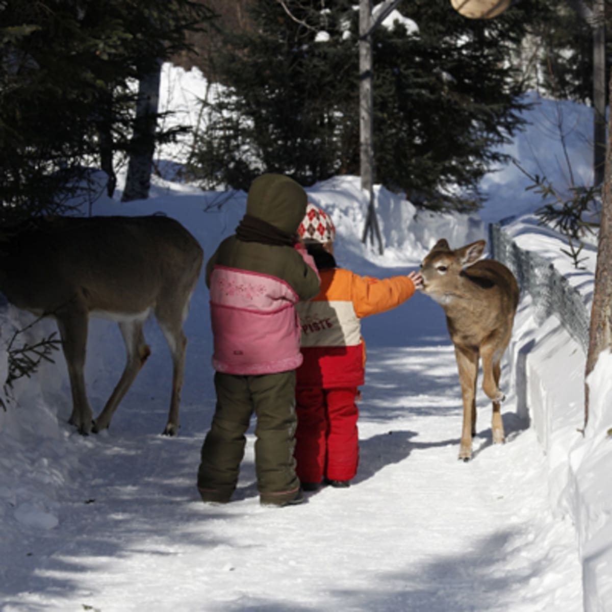 refuge_pageau_3_h