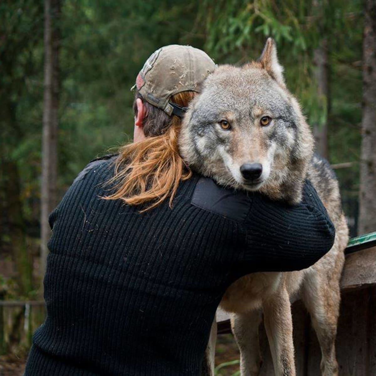 refuge_pageau_8