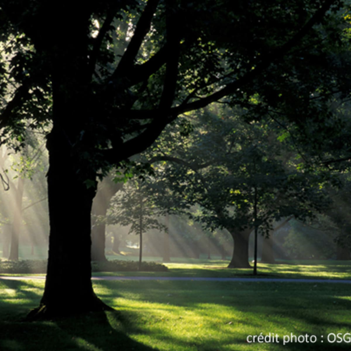 rideau_hall_2