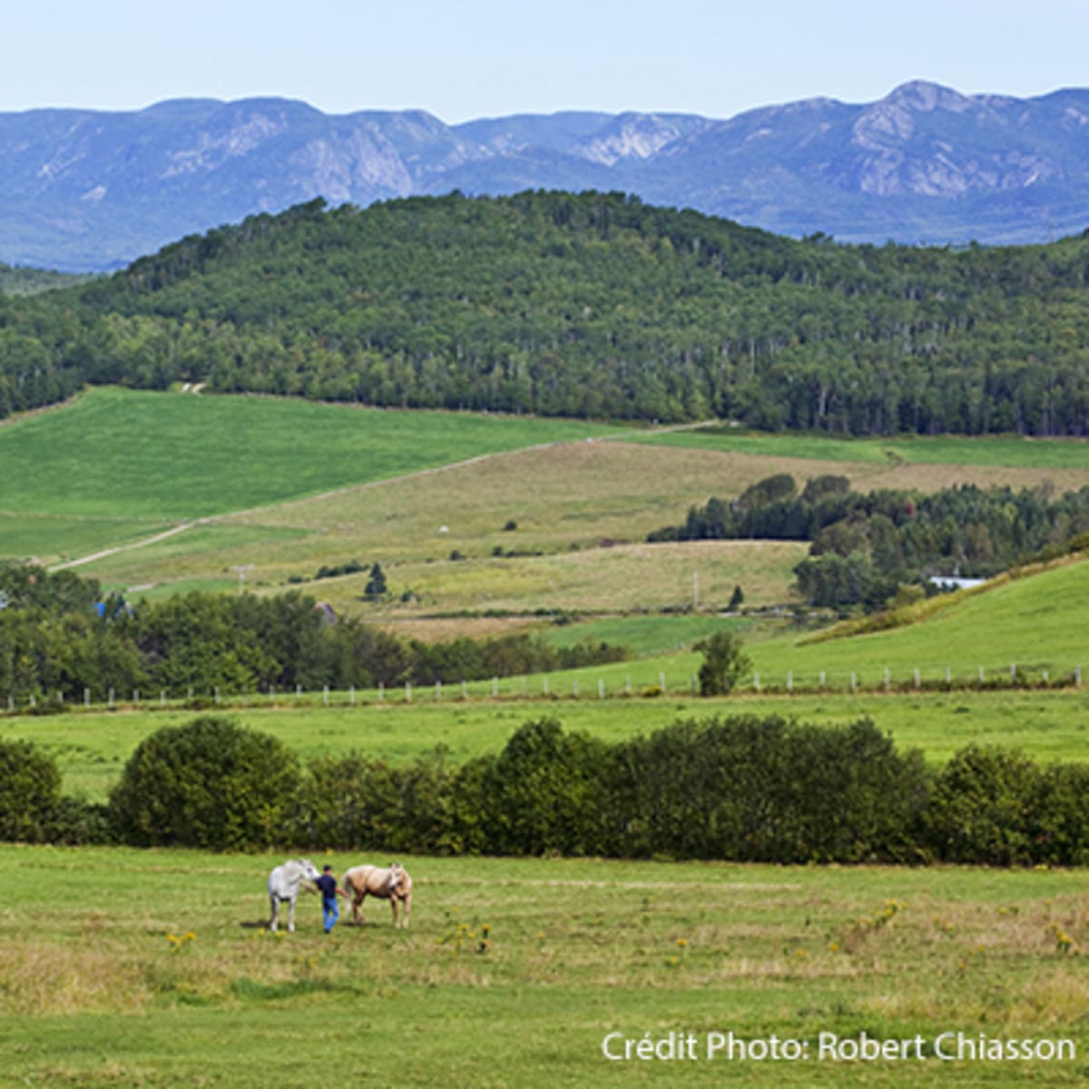 secteur_des_montagnes_7