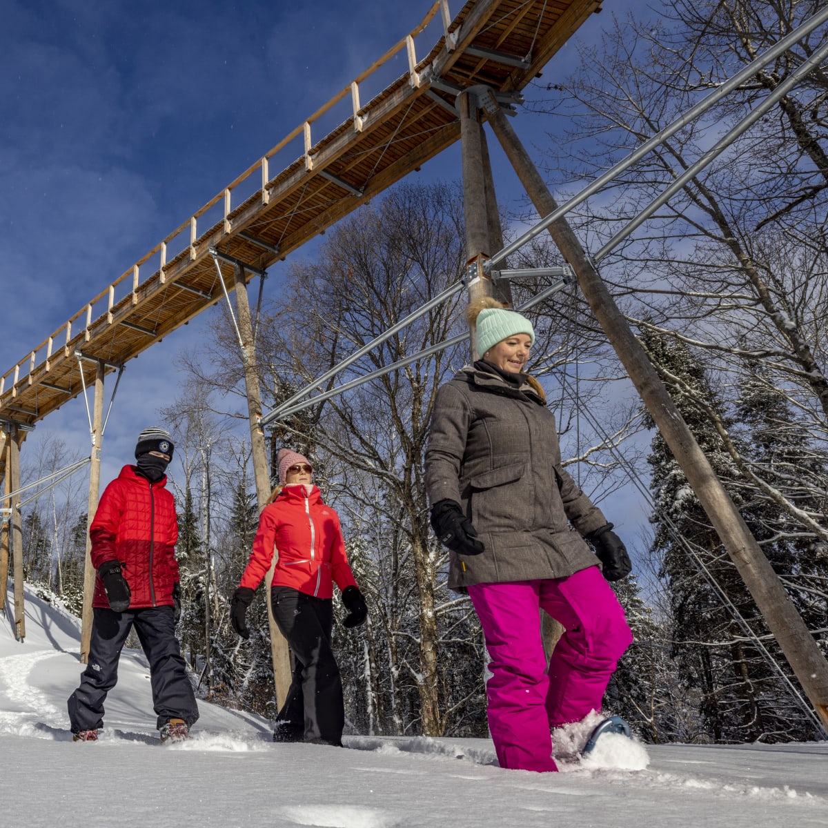 sentier_des_cimes_laurentides_5_h