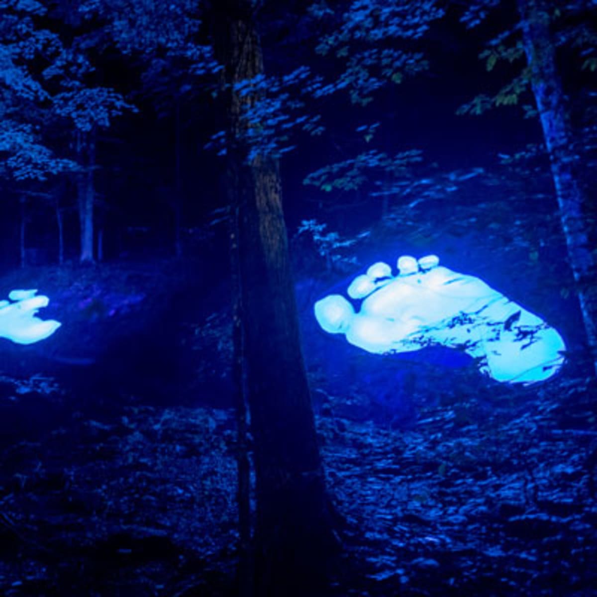 tonga_lumina_11
