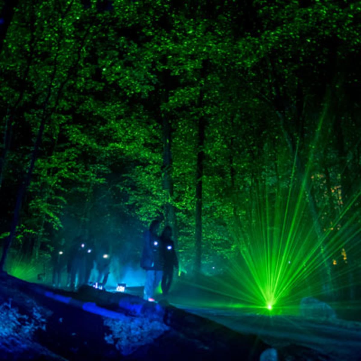 tonga_lumina_2