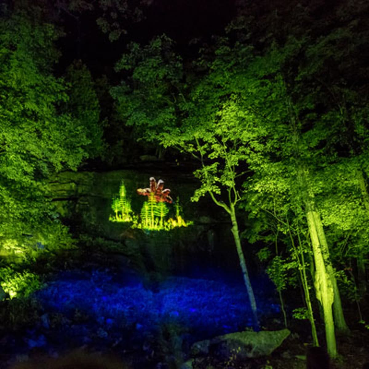 tonga_lumina_5