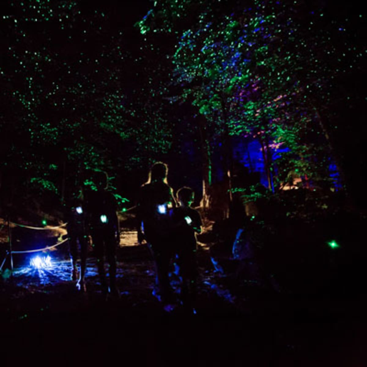tonga_lumina_7