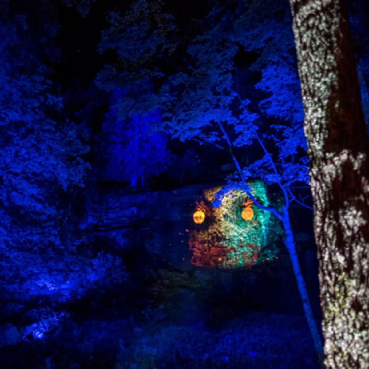 tonga_lumina_8