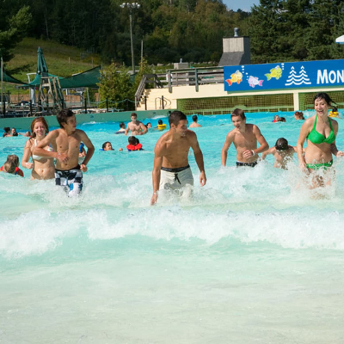 vallee_de_saint_sauveur_13