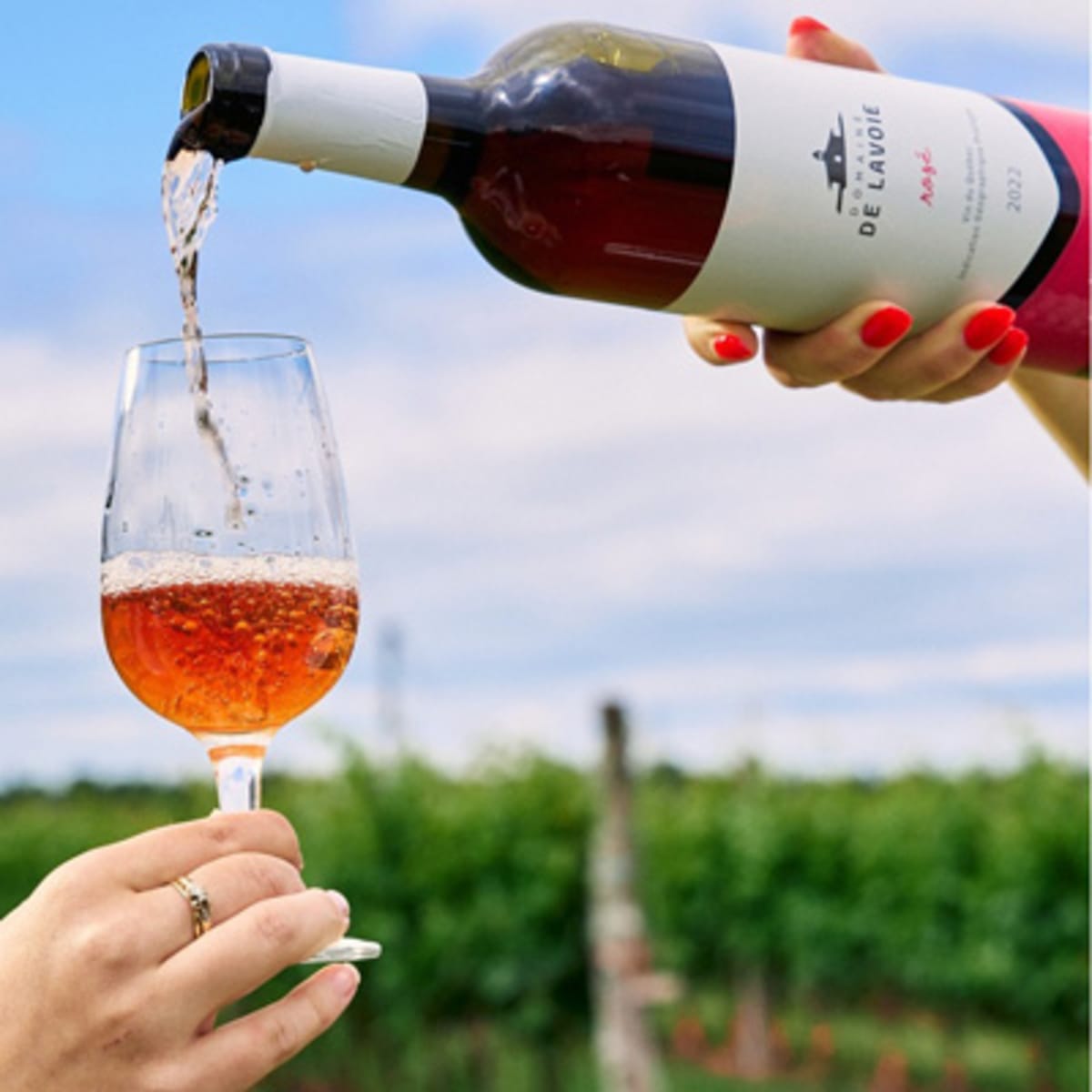 vignoble_de_lavoie_poitevin_1