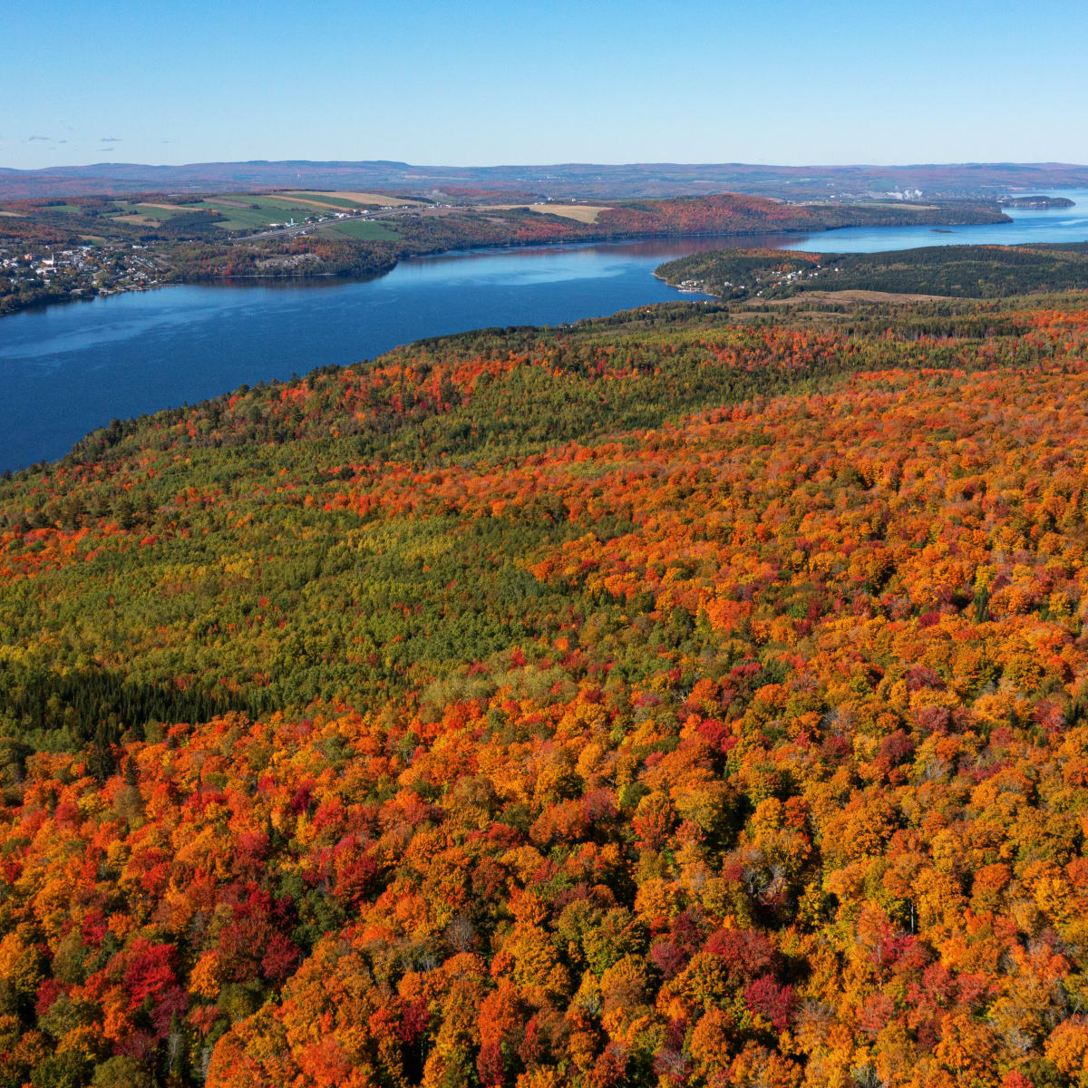 visite_des_parc_nationaux_du_bas_saint_laurent_1_a