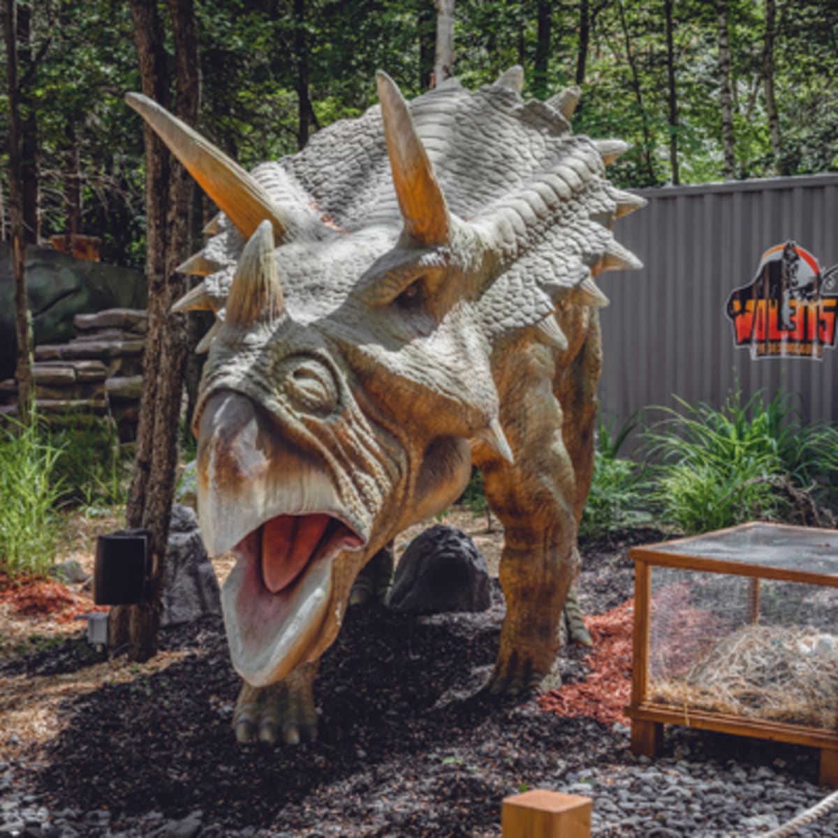 woodooliparc_1