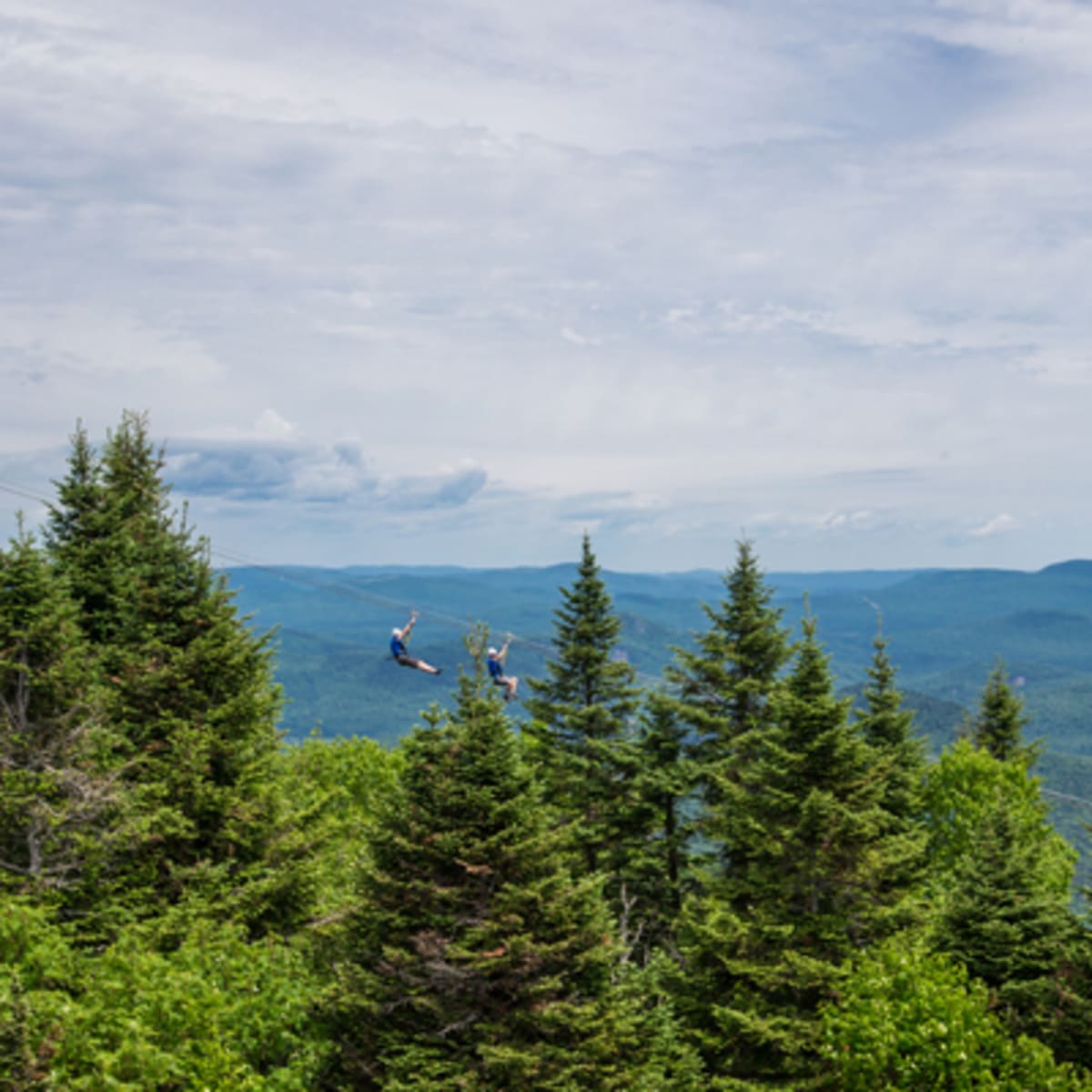 ziptrek_ecotours_tremblant_9