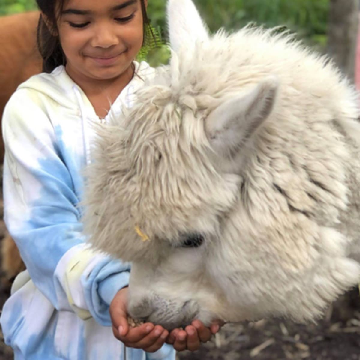 zoo_animation_estrie_1