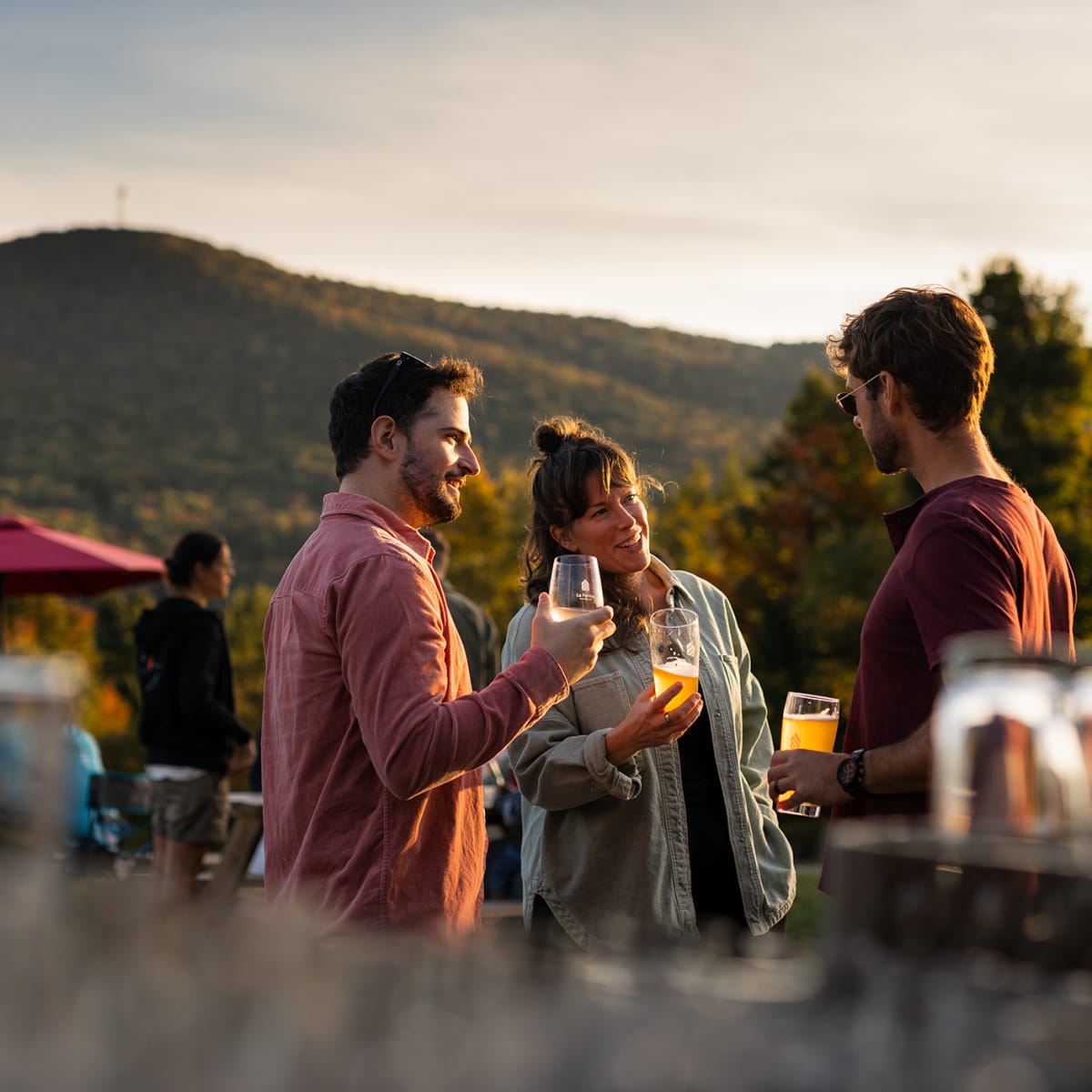 Ideas to plan your summer in Quebec - Group of friends in a vineyard