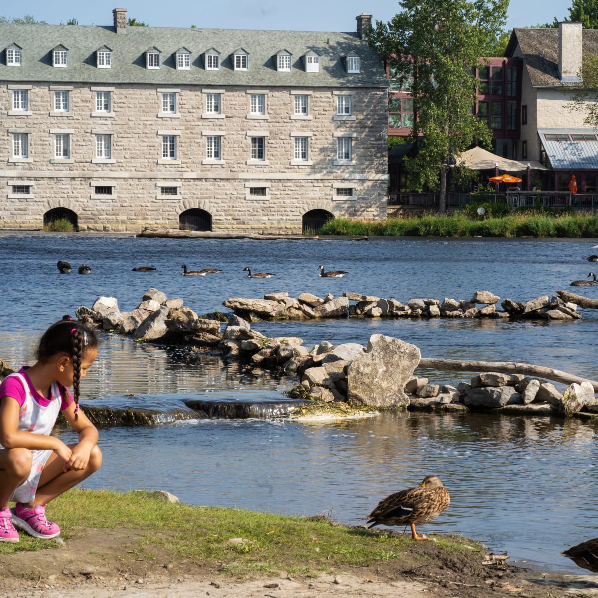 Fille qui regarde les canards à côté du moulin.