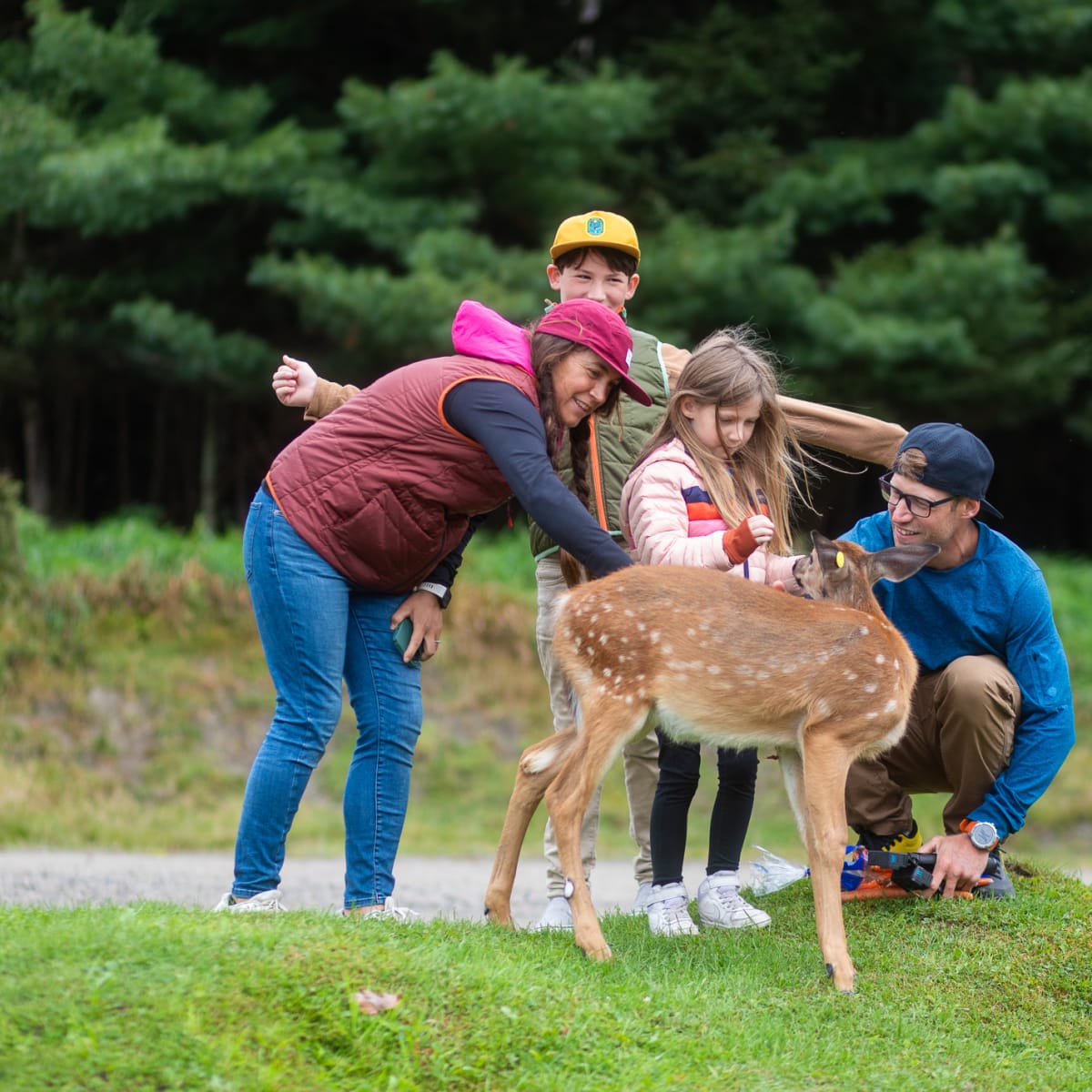 Family around a fawn.