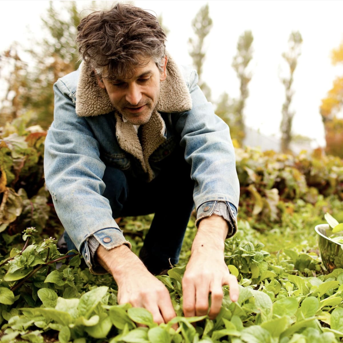 Man picking herbs in a forest