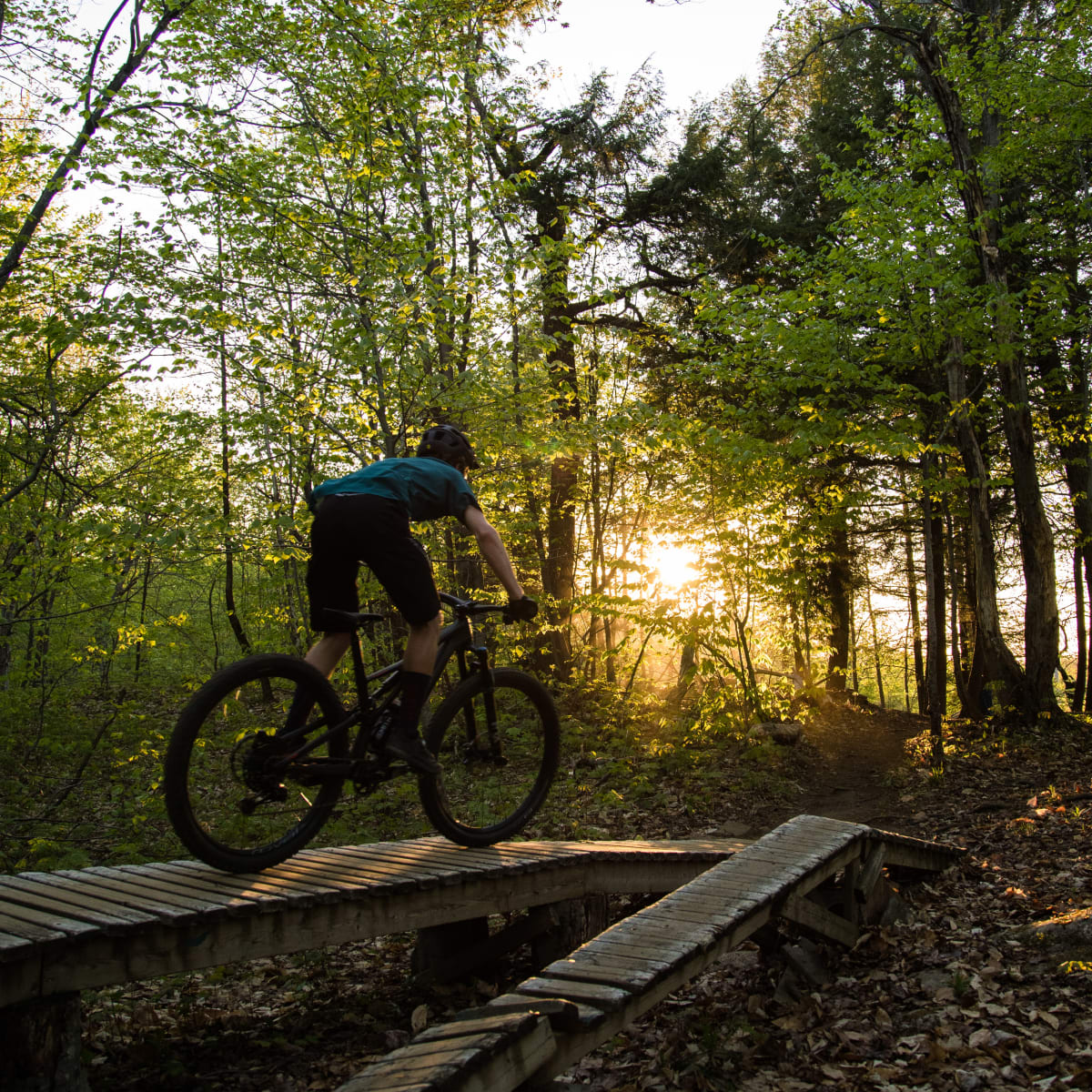 Cycliste en vélo de montagne dans le parc de la Gatineau en soirée.