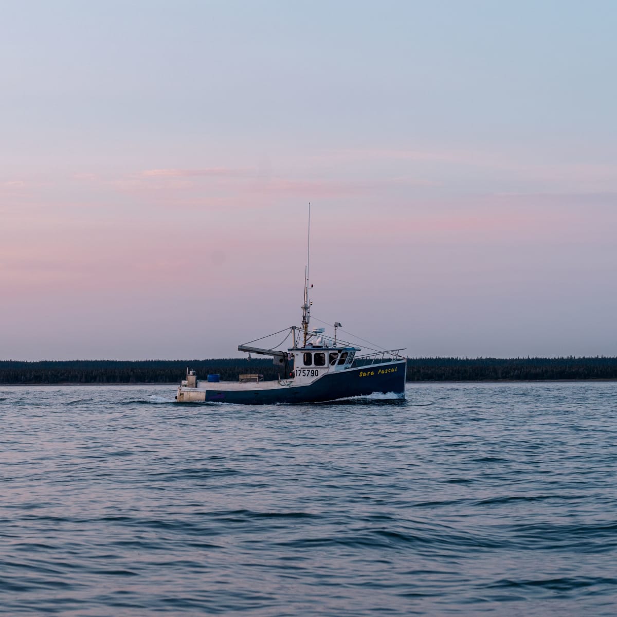 Tourisme Côte-Nord : bateau à pêche